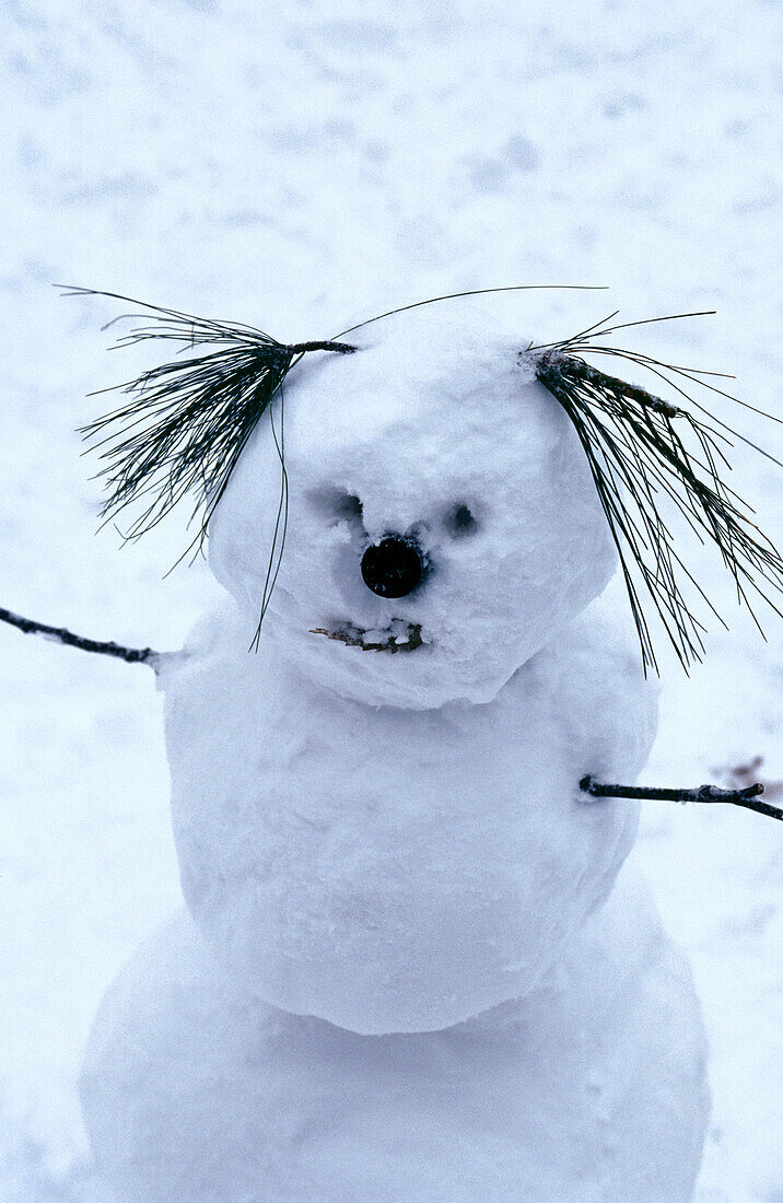 Small snowman with pine needles for hair and branches for arms