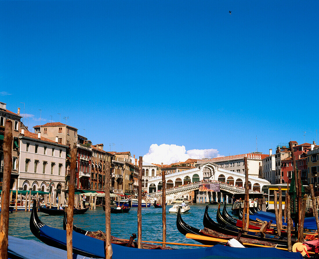 Rialto bridge. Venice. Italy