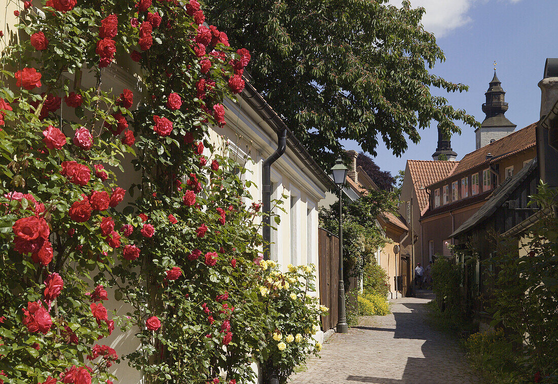 Cobbled lane and Houses, Visby, Gotland, Sweden