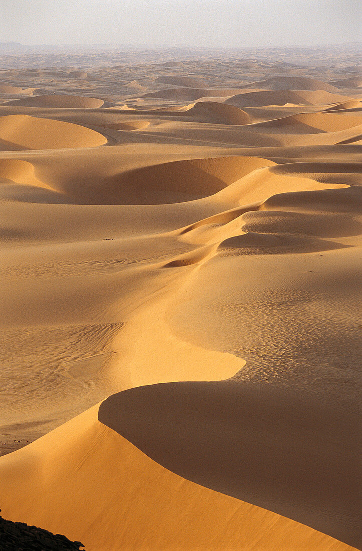 Libyan desert. Egypt