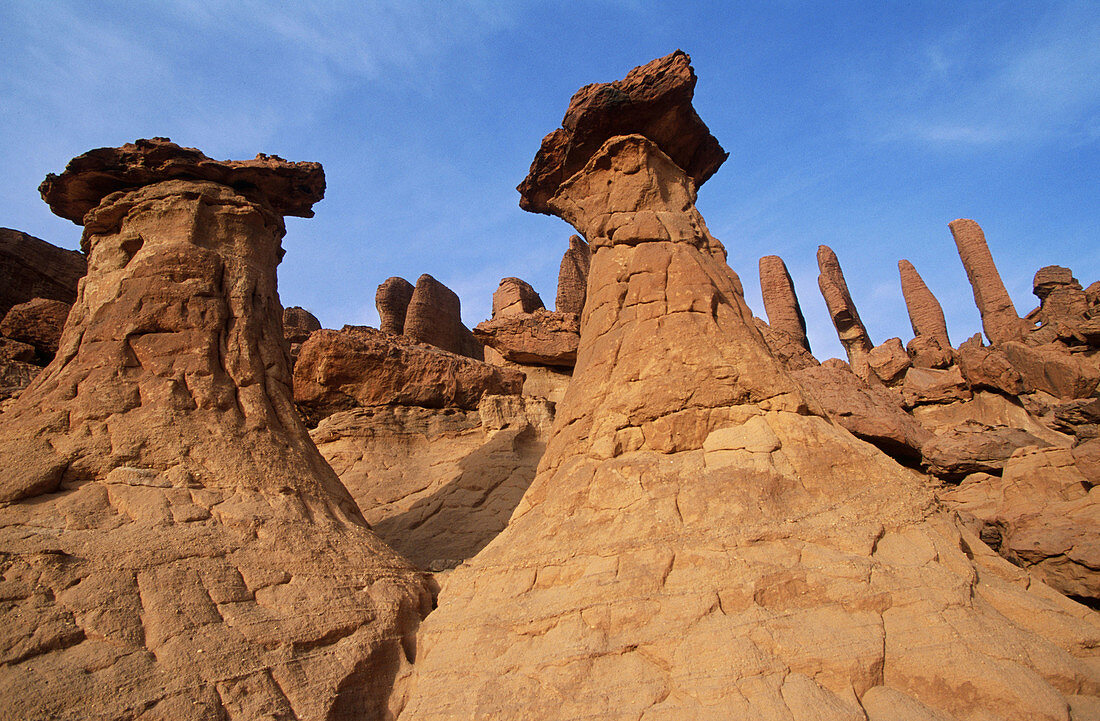 Ennedi Massif, between Guelta d Archei and Bachikele. Chad