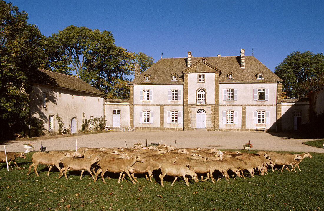 Chassan Castle in Faverolles. Cantal, France