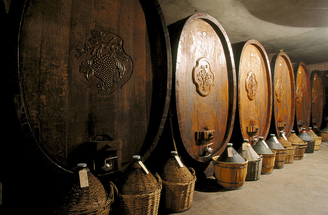 Casks. Santa Vittoria D Alba. Piedmont. Italy