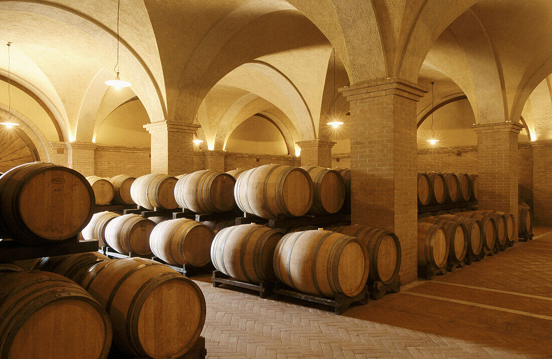 Villa Russiz winery cellars. Capriva del Friuli, Collio region. Friuli-Venezia Giulia, Italy