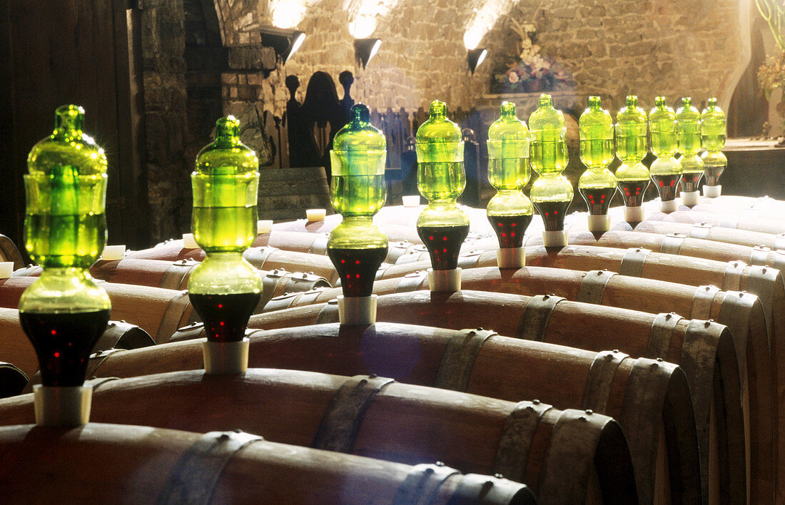 Wine cellars, castle of Spessa. Capriva del Friuli. Friuli-Venezia Giulia, Italy