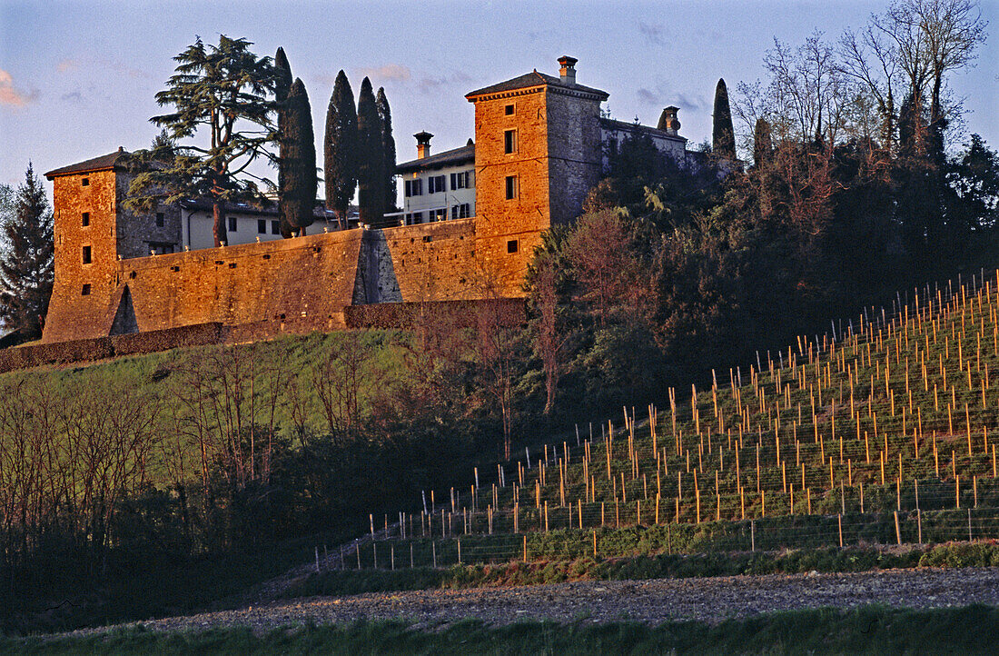 Castle. Trussio, Dolegna del Collio. Friuli-Venezia Giulia, Italy