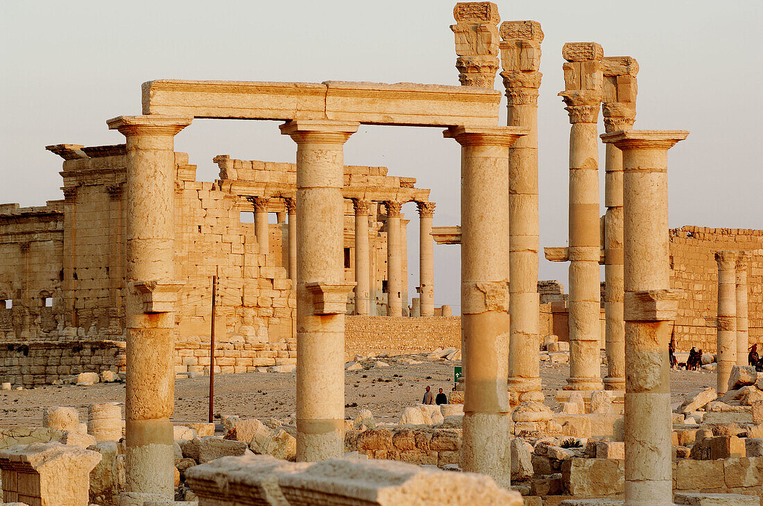 Ruins of Palmyra. Syria