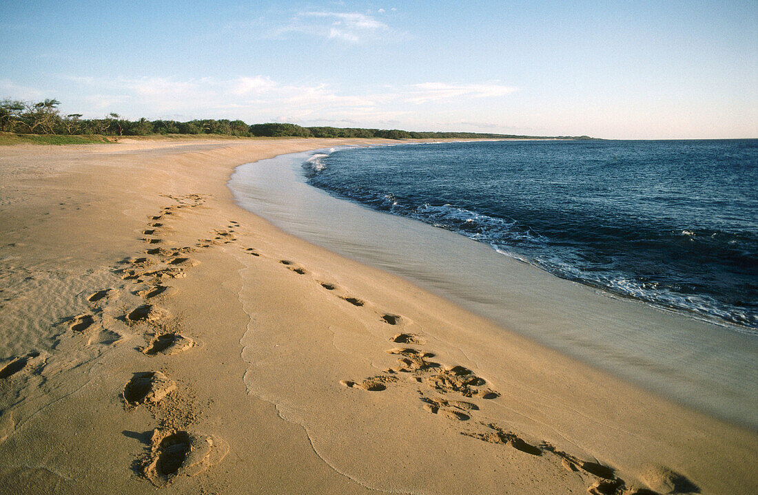 Footprints on Kepuhi beach. Molokai. Hawaii. USA.
