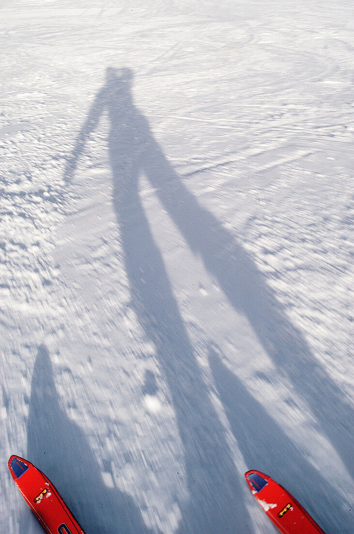 Shadow and skis on snow during the downhill drive