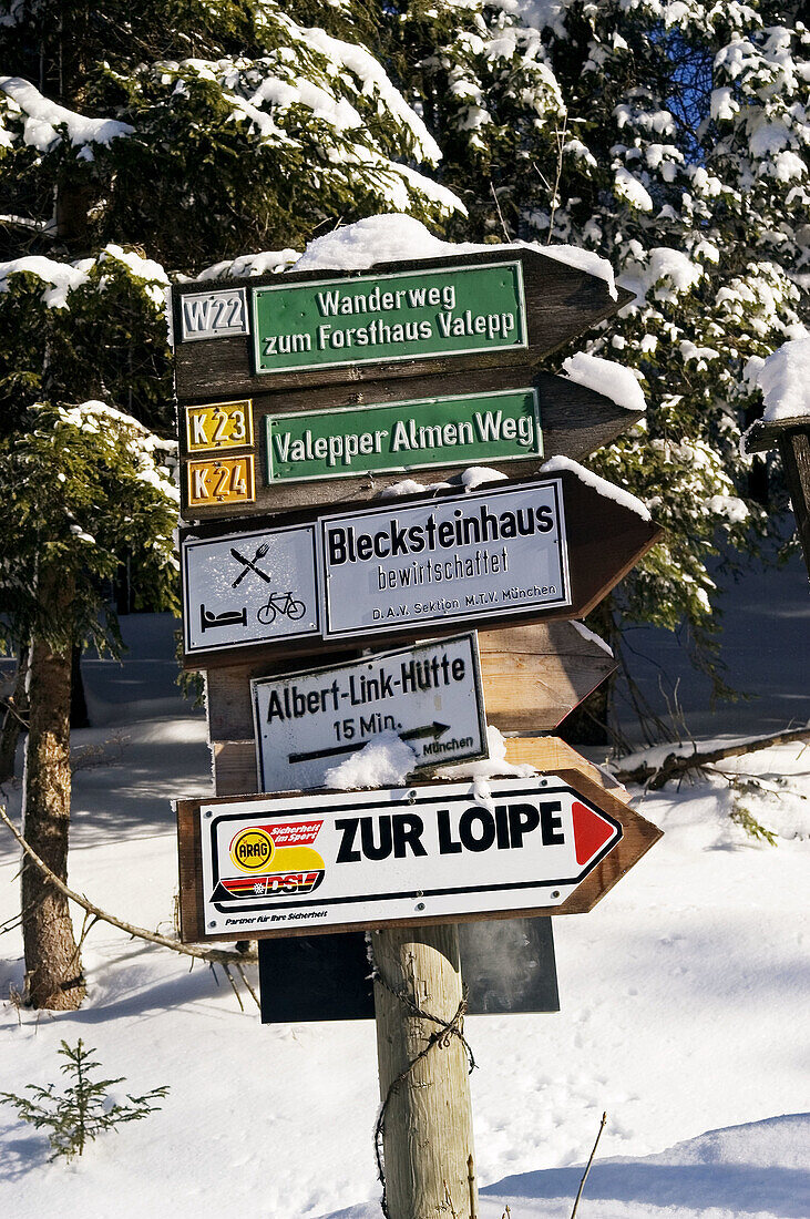 Guideposts to the cross-country ski run in the Valepp valley, near Spitzingess Lake. Spitzing. Upper Bavaria. Germany