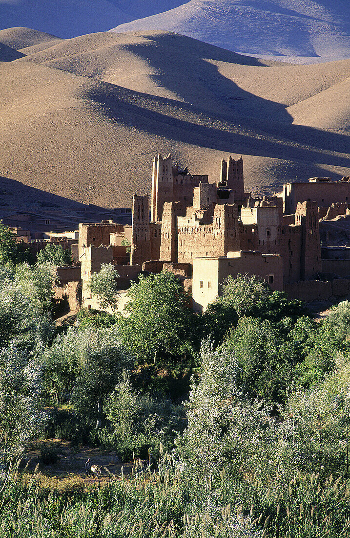 Ait Arbi. Dades Valley, rose production area. Ksours from Ait Arbi Casbah. South. Morocco.