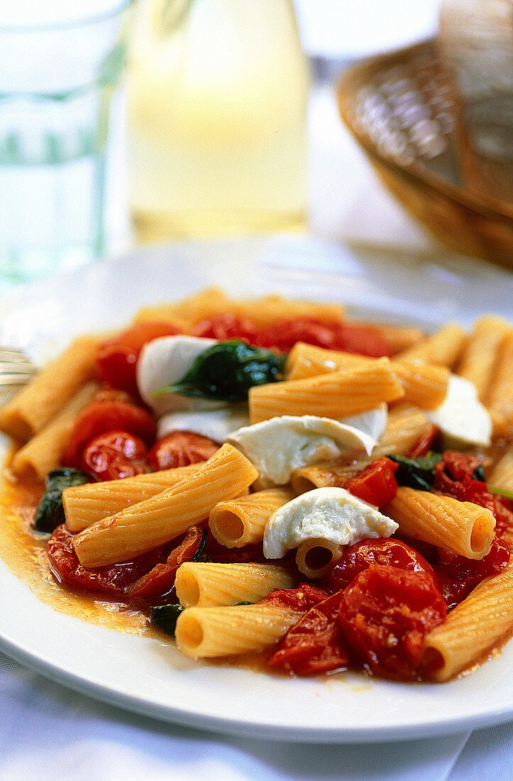 Maccheroni All Amatriciana. Restaurante Maccheroni . Rome. Italy.