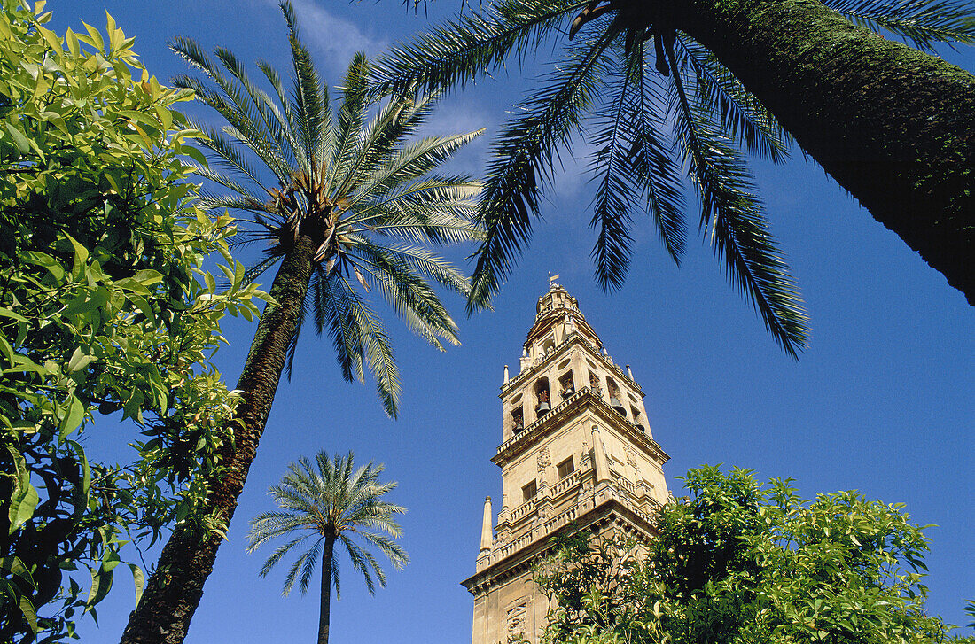 Alminar Tower.Great Mosque. Cordoba. Andalusia, Spain