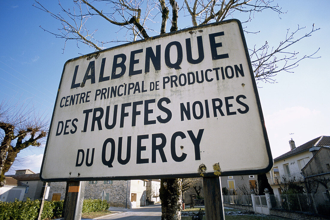 Tuesday s market. Lalbenque. Quercy. Lot. France.
