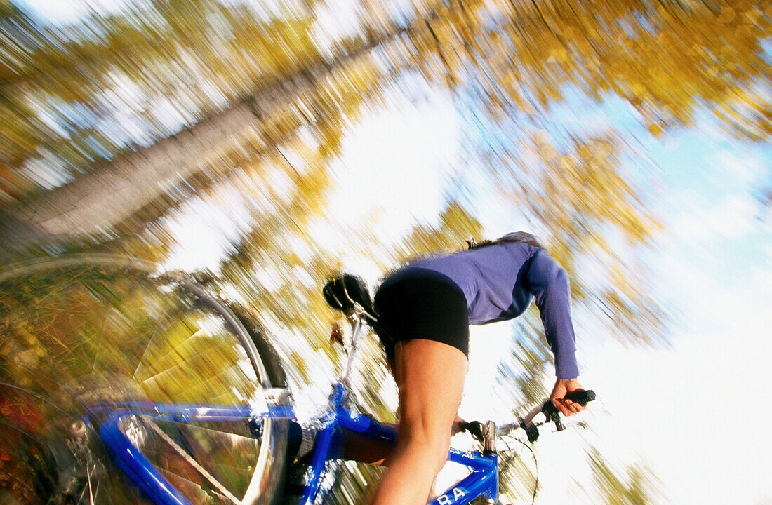  Ability, Activity, Bicycle, Bicycles, Bicyclist, Bicyclists, Bike, Biker, Bikers, Bikes, Biking, Blurred, Color, Colour, Contemporary, Cycle, Cycles, Cycling, Daytime, Exercise, Exterior, Female, Fit, Forest, Forests, Health, Healthy, Horizontal, Human, 