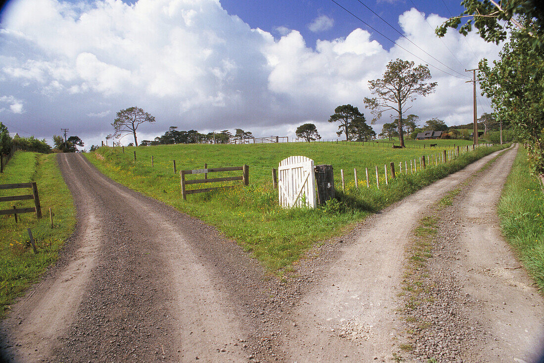 Divided road in New Zealand