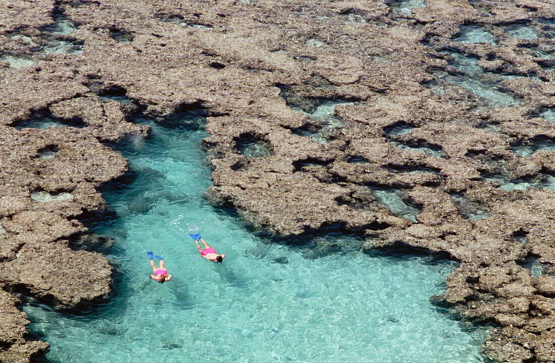 Snorklers in Hawaii