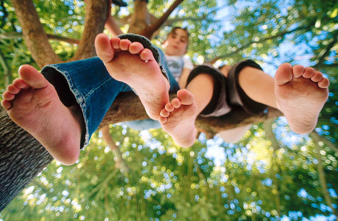 n, Climbing, Color, Colour, Contemporary, Country, Countryside, Daytime, Exterior, Feet, Foot, Friends, Fun, Hang, Hanging, Hiding, Horizontal, Human, Kid, Kids, Leg, Legs, Leisure, Low angle view, Ou