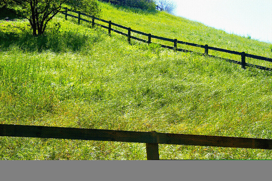 Green countryside with fences