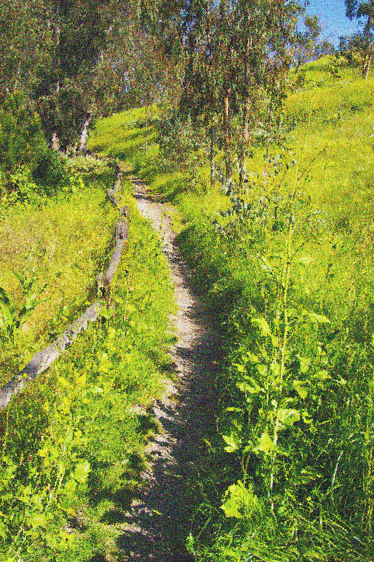 Country path