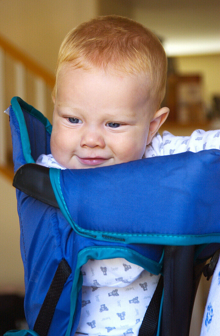 baby in carry pack