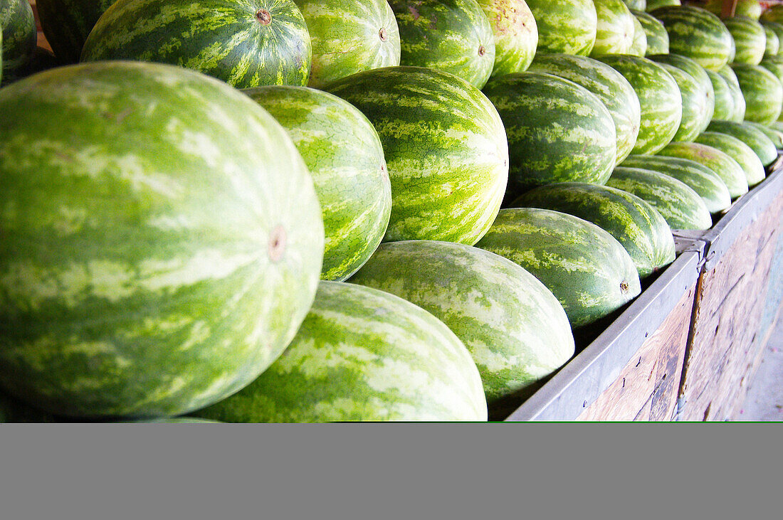 watermelon at fruit stand