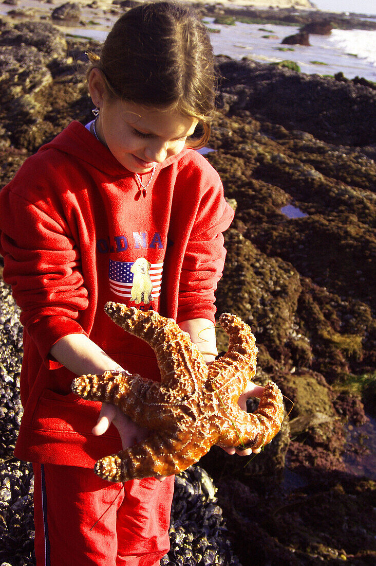 girl holding starfish at tide pools