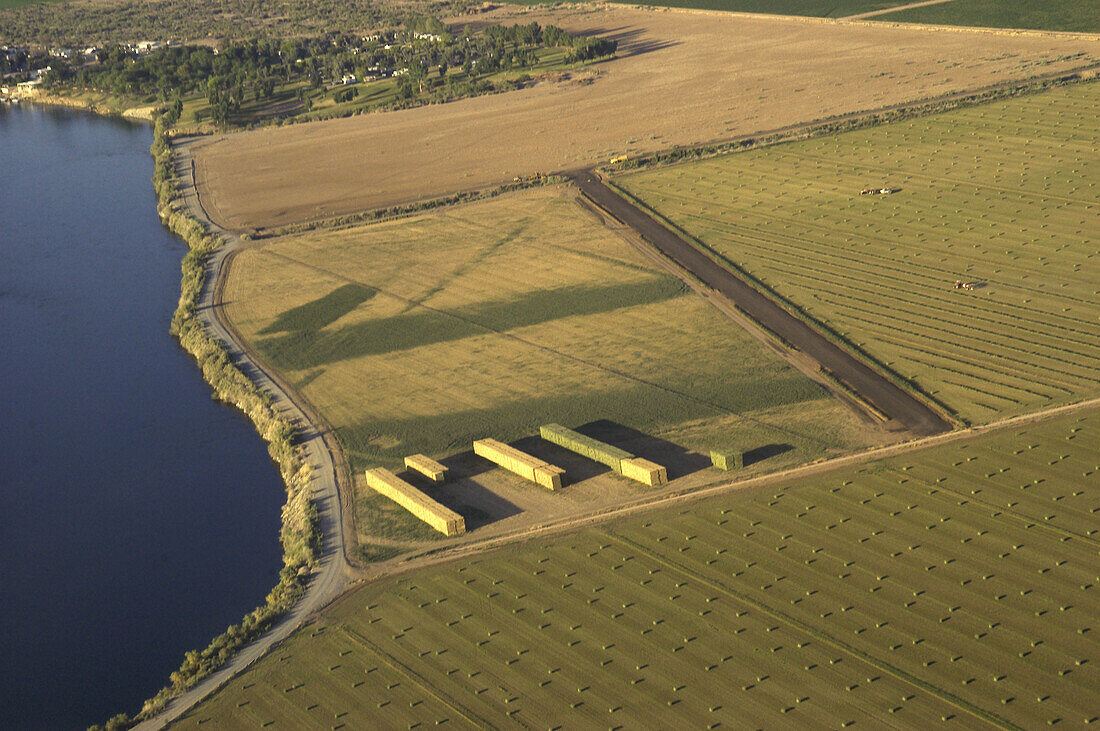 California farmland