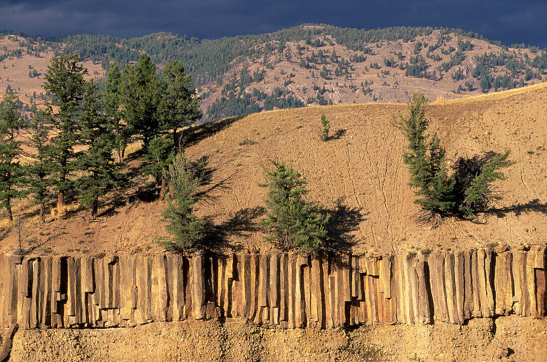 Basalt formations. Yellowstone National Park. Wyoming. USA