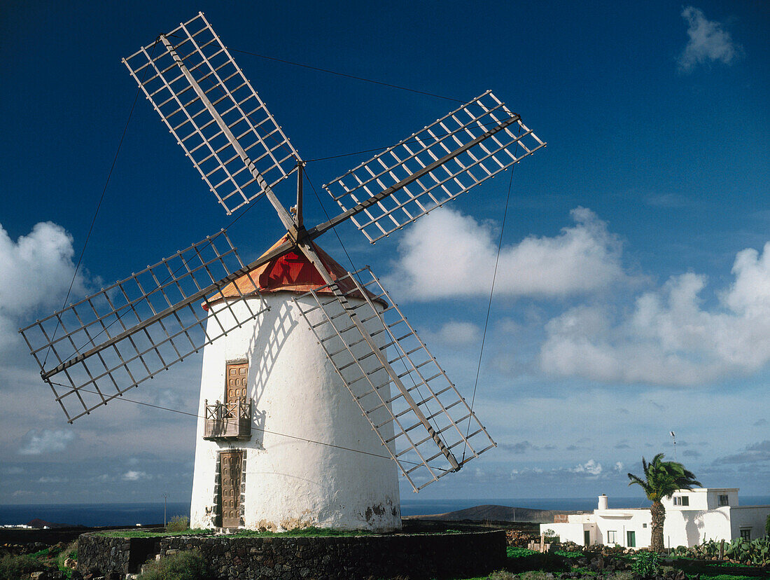 Windmill. Tiagua, Lanzarote. Canary Islands. Spain