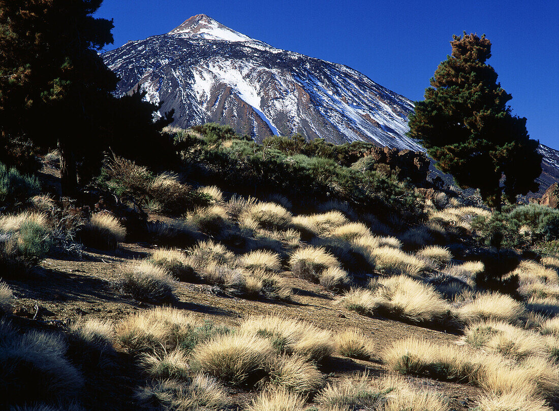 Teide volcano seen from Izaña pass, Teide National Park. Tenerife, Canary Islands. Spain