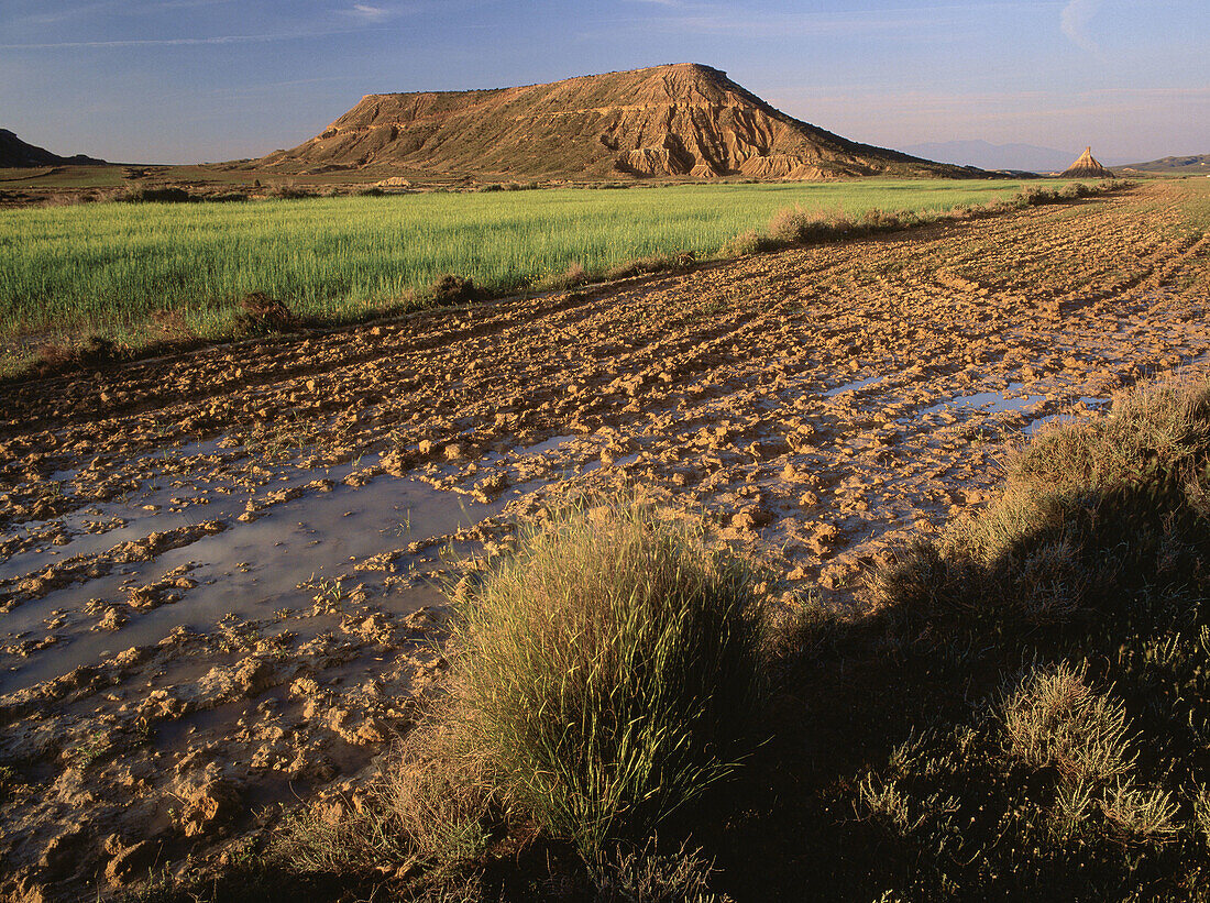 Bardenas Reales. Navarre. Spain