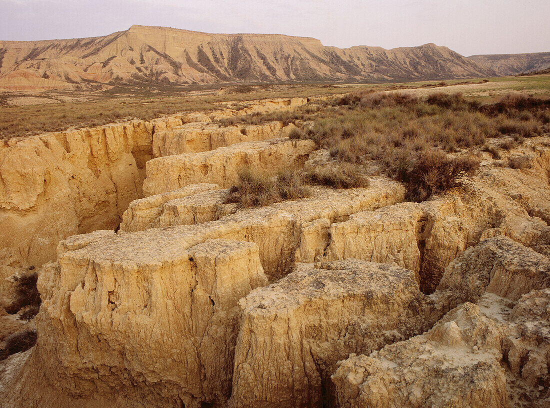 Rincon del Bu. Bardenas Reales. Navarre. Spain