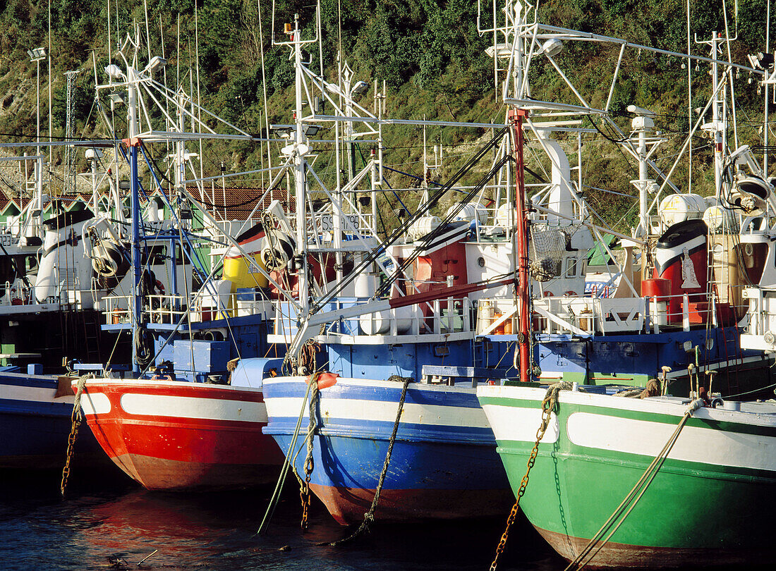 Fish harbour. Hondarribia. Guipuzcoa. Basque Country. Spain