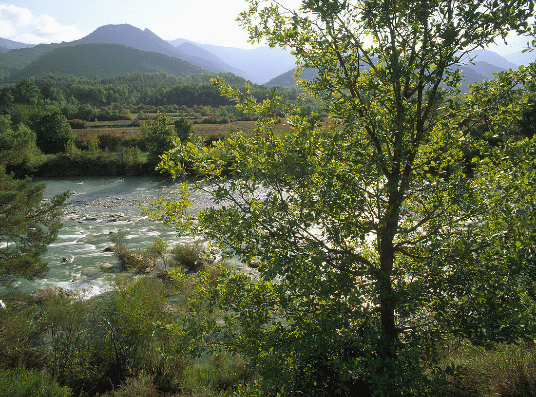 Ara River in Solana Valley. Huesca province. Aragon, Spain