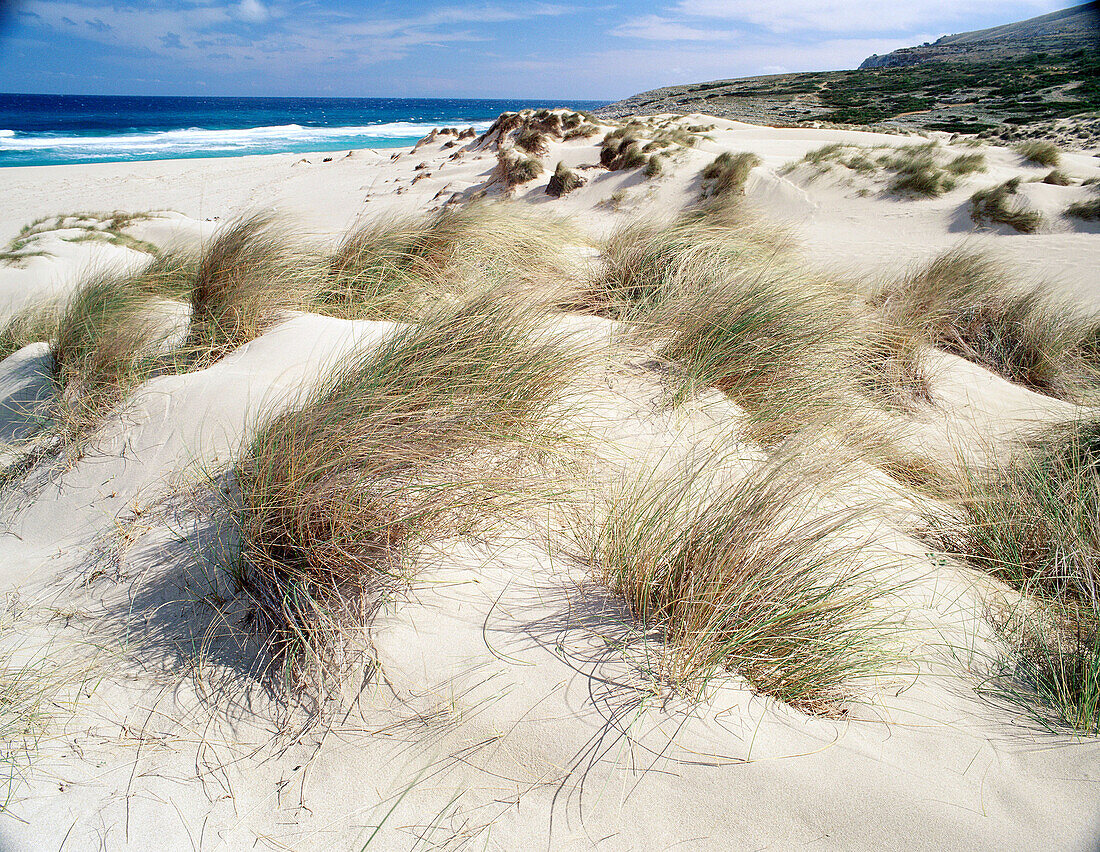 Dunes at Cala Mesquida. Majorca, Balearic Islands. Spain