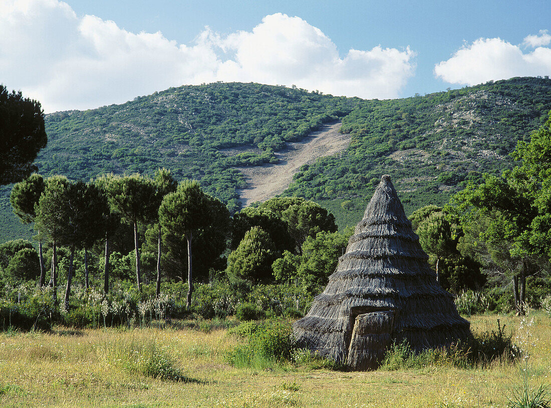 Hut, Cabañeros National Park. Ciudad Real province, Spain