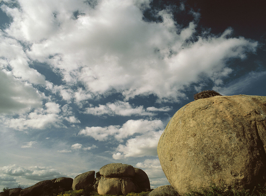 Los Barruecos. Malpartida. Caceres province. Extremadura. Spain