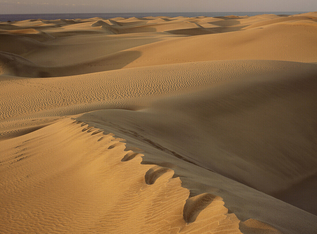 Maspalomas in Grand Canary. Canary Islands. Spain