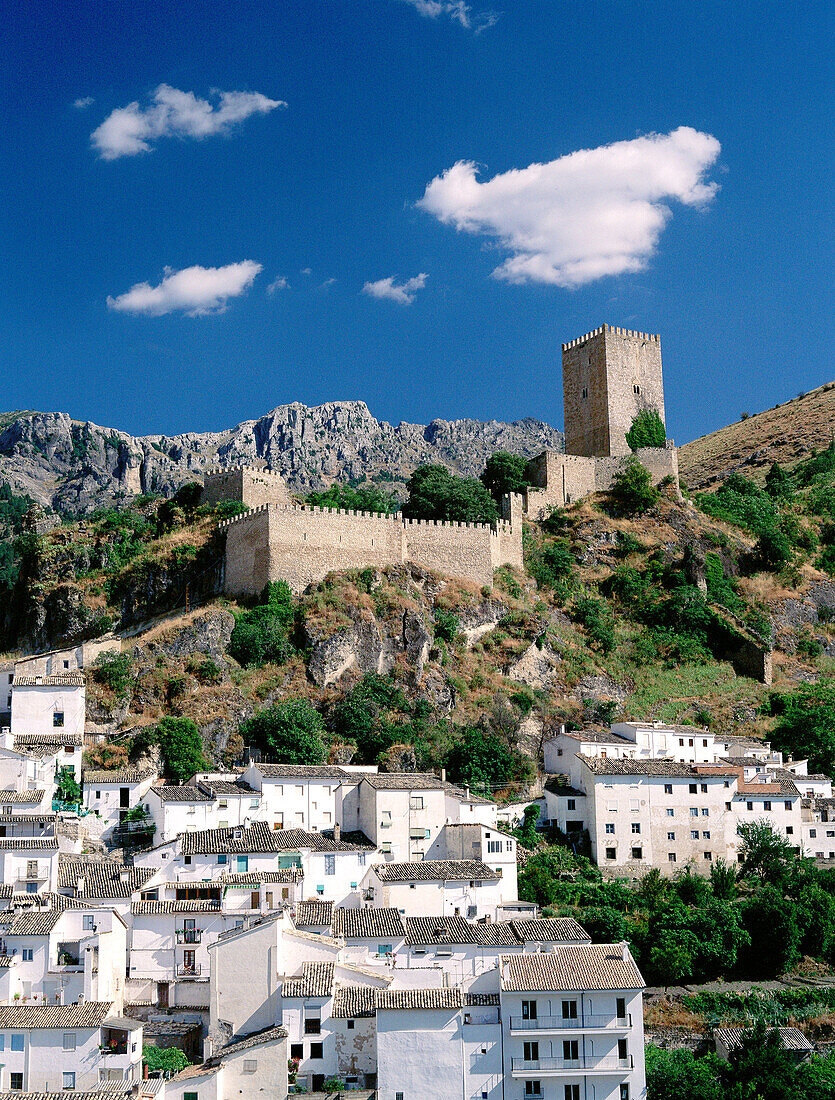 Yedra Castle in Cazorla. Jaén province. Andalusia. Spain