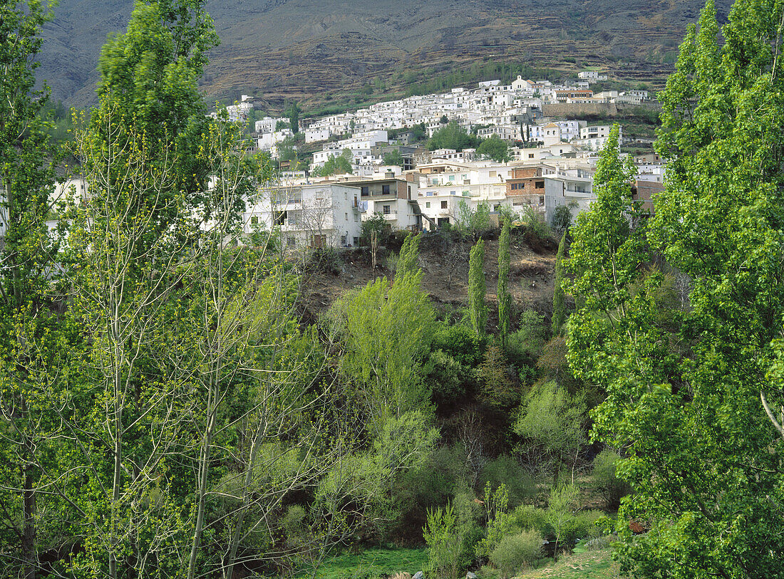Trevélez. Alpujarras Mountains area, Granada province. Spain