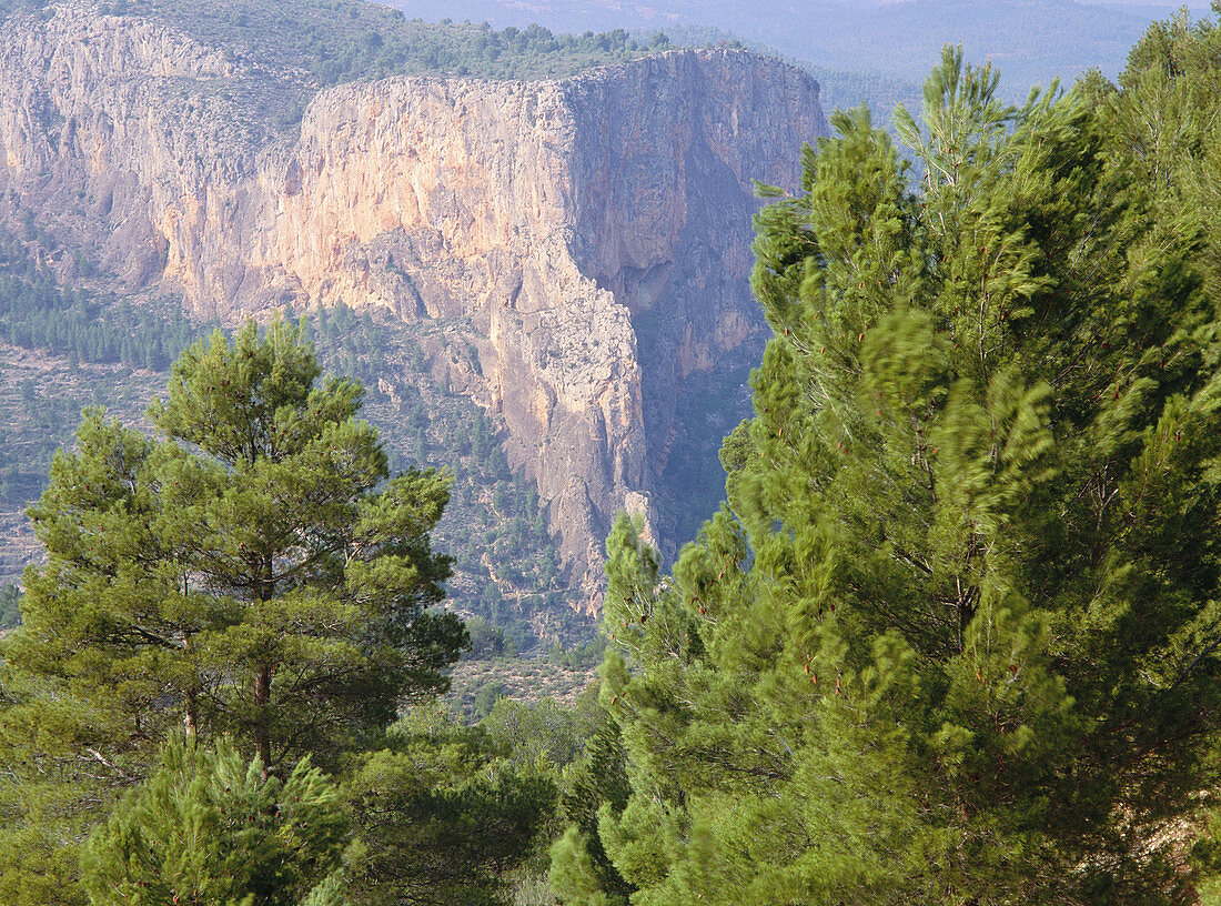 Mundo River Canyon. Albacete province. Castilla-La Mancha, Spain