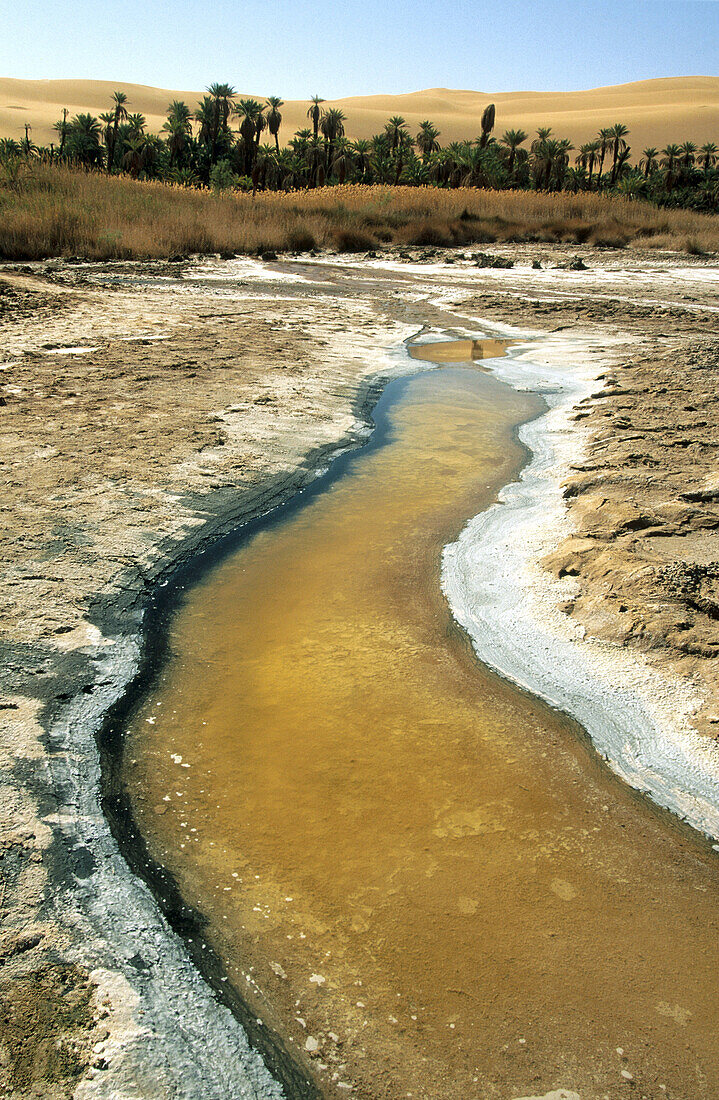 Mandara lake at Ramlat Dawada region. Fezzan. Sahara desert. Libya