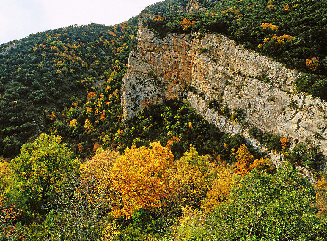 Foz de Aizpurgui. Valle de Salazar. Navarre. Spain
