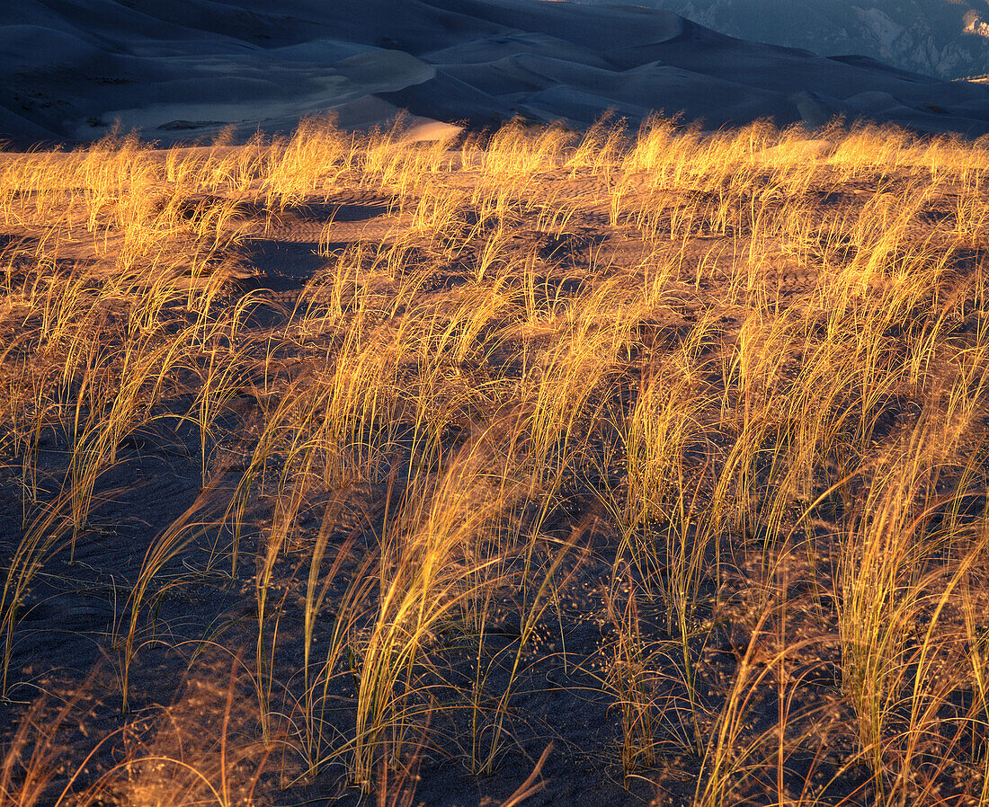 Great Sand Dunes National Monument. Colorado. USA