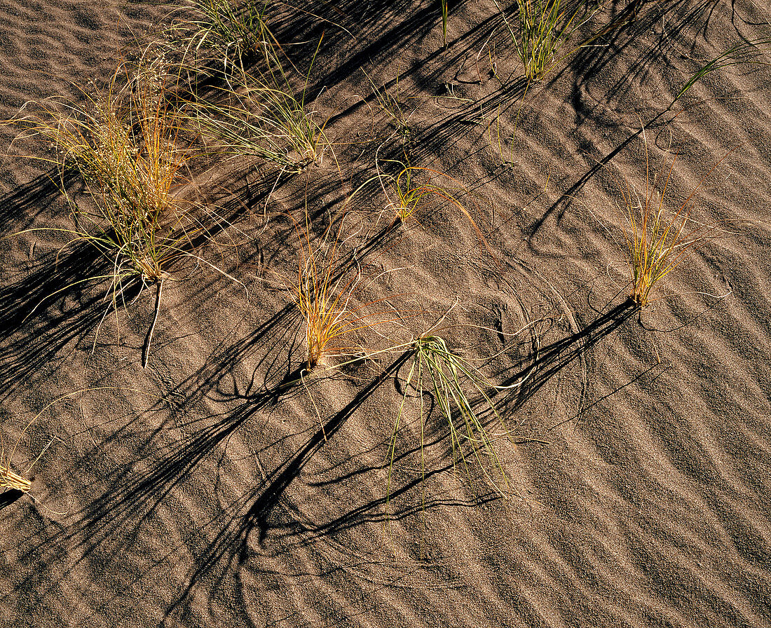 Great Sand Dunes National Monument. Colorado. USA