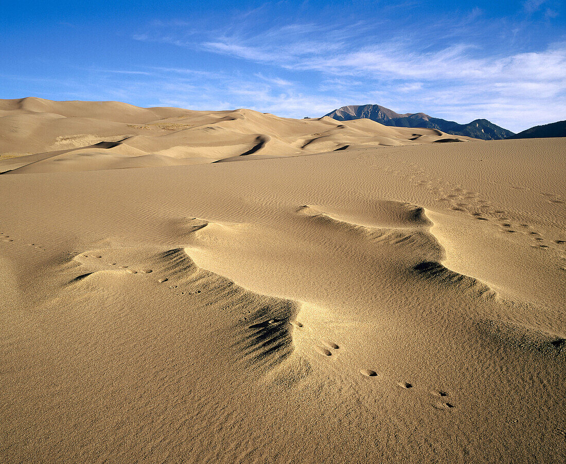 Great Sand Dunes National Monument. Colorado. USA