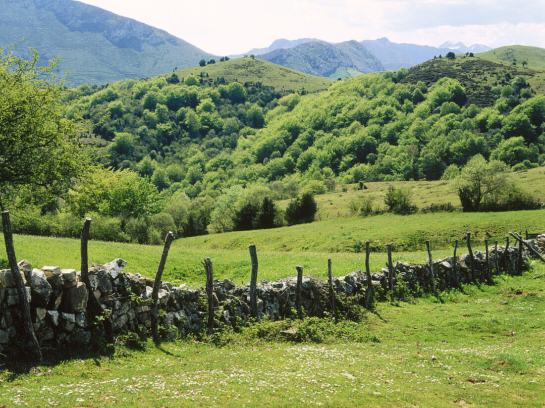 Marabio Passes. Yermes y Tameza. Asturias. Spain.