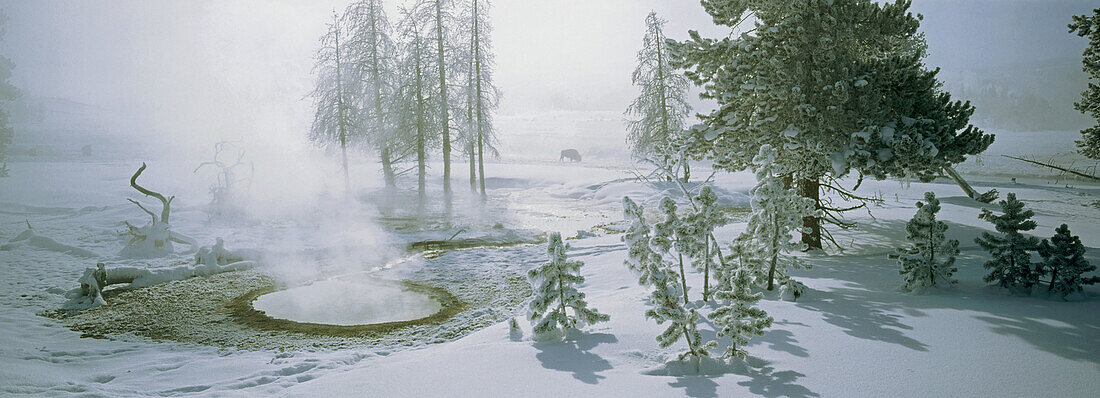 Geysers in winter. Yellowstone National Park. USA.