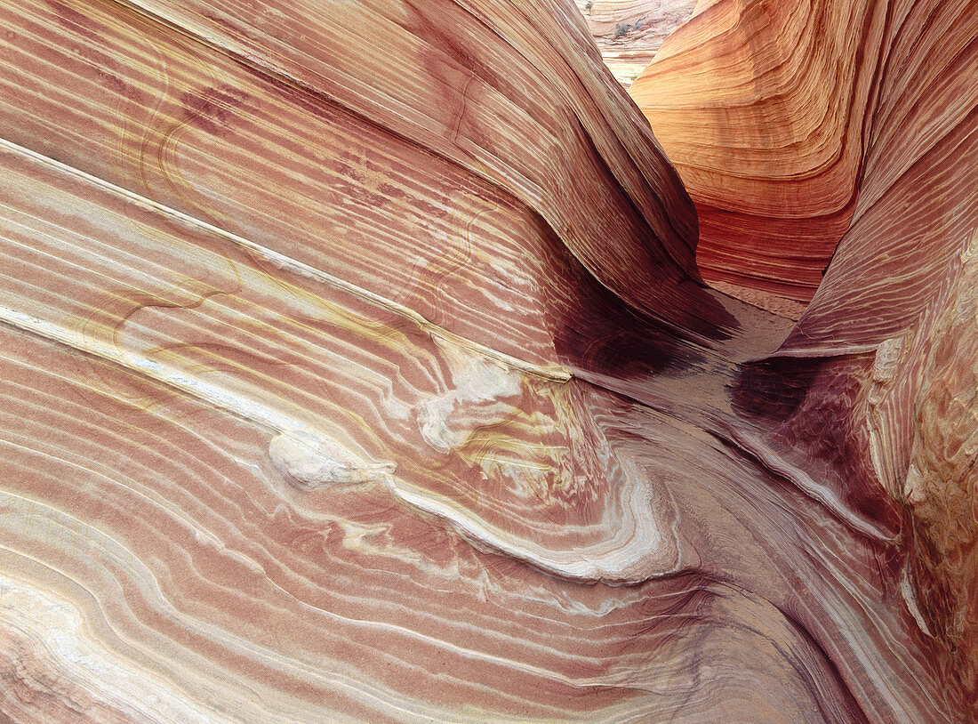 The Wave. Staircase. Escalante. Utah. USA.